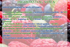 јагодицасто-воце-финал