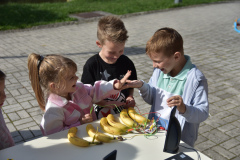 ДСЦ-0907