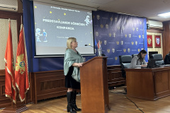 IMG-1060