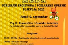 дани-меда-плакат-2022
